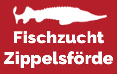 fischzucht